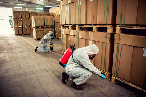 Reliable Cleveland, OH Pest Control Solutions