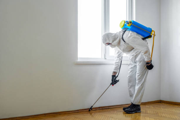 Best Mosquito Control Services  in Cleveland, OH