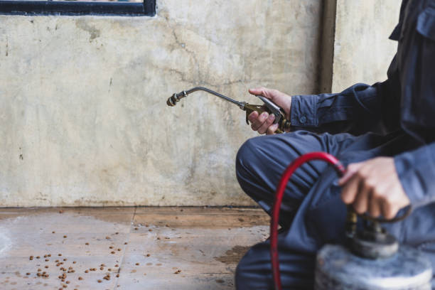 Best Pest Control Near Me  in Cleveland, OH